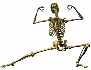Nutri Dyn Skeleton