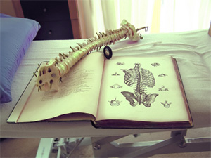 Image of a chiropractors book and tools.